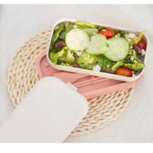 Our Place The Lunchbox Bento Style Sustainable